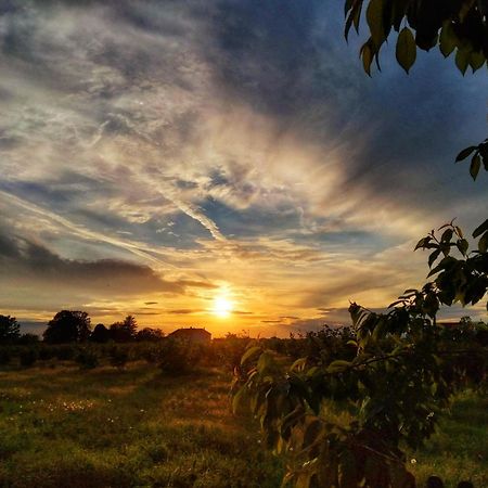 ホテル La Fattoria Del Soul Bosco Marengo エクステリア 写真