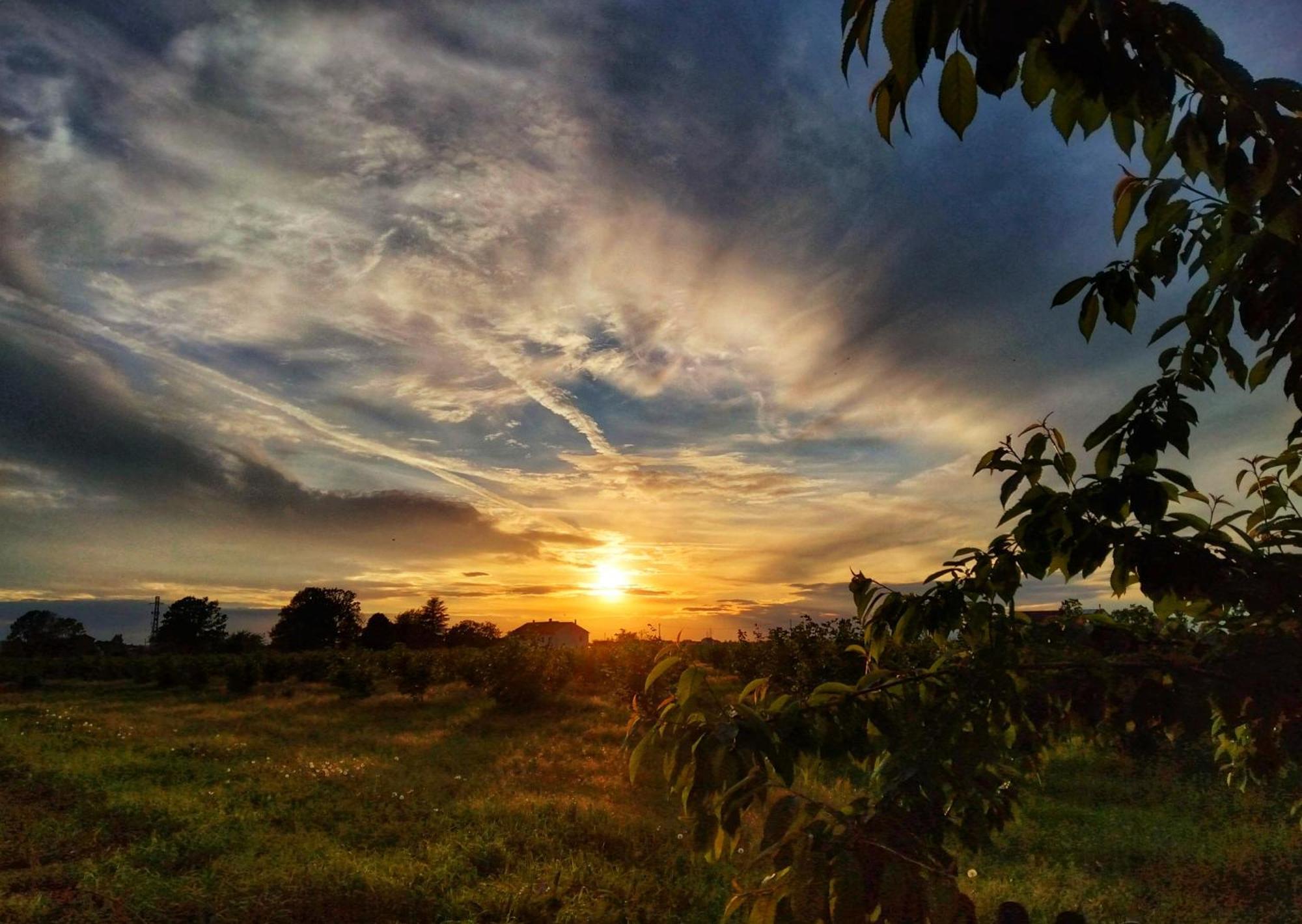ホテル La Fattoria Del Soul Bosco Marengo エクステリア 写真